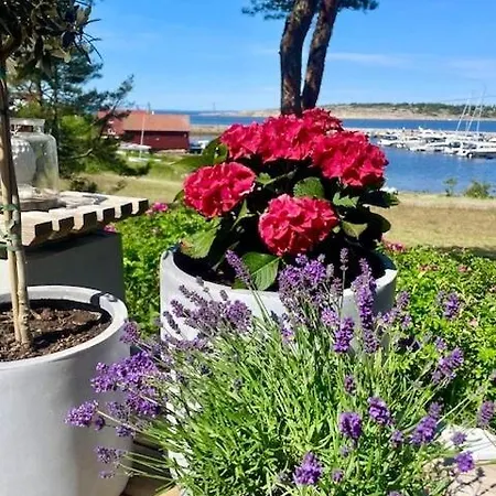 Seaside Dream On With Sunny Sea View Сasa de vacaciones *